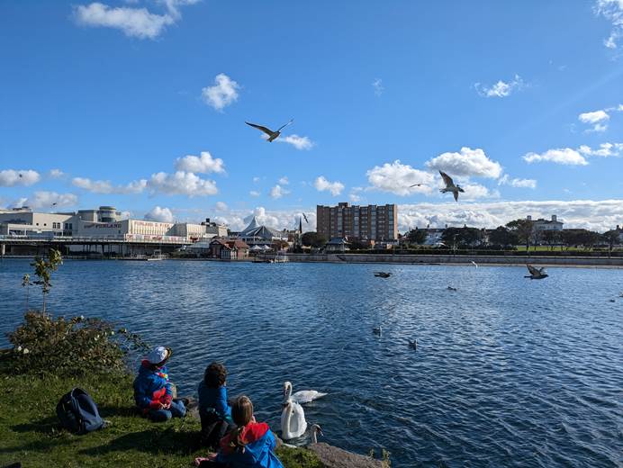 Three guides sit by the water in Southport feeding swans whilst seagulls circle around them.