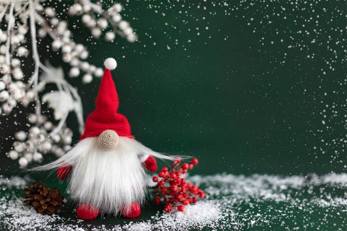 A gonk with a white beard and red hat is on the left of the image, surrounded by berries, a pinecone and snowy branch. The background is green and snowy.