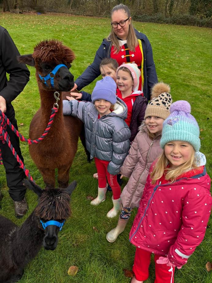 A Rainbow leader dressed as Santa and a group of her girls wear coats and hats, stroking a brown alpaca and smiling at the camera