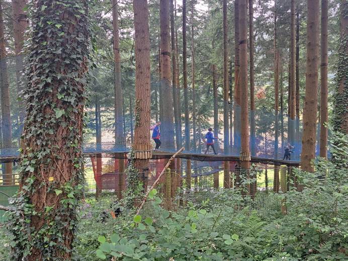 Guides trekking along a lowly raised walkway in the trees