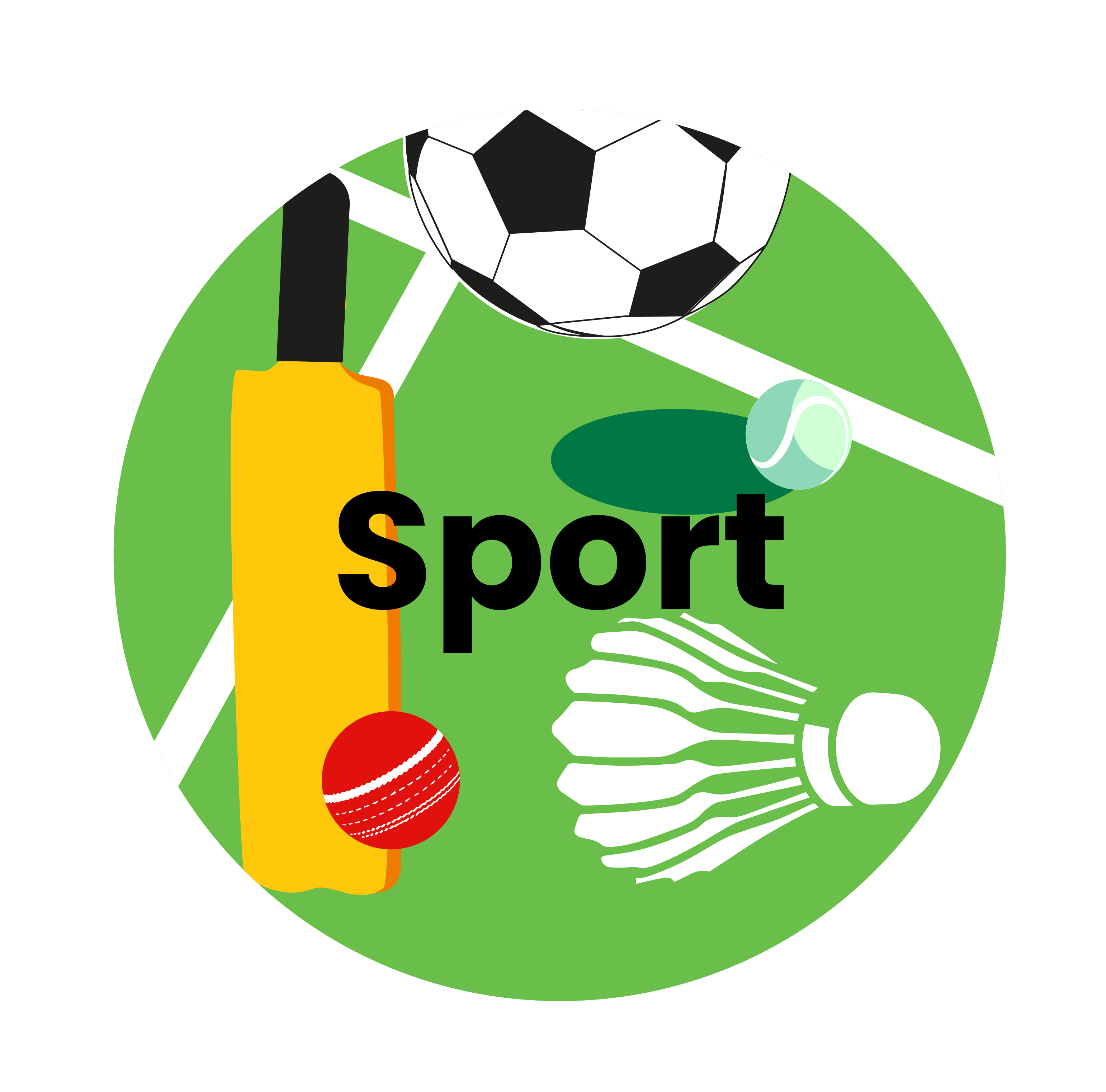 sport theme icon.png