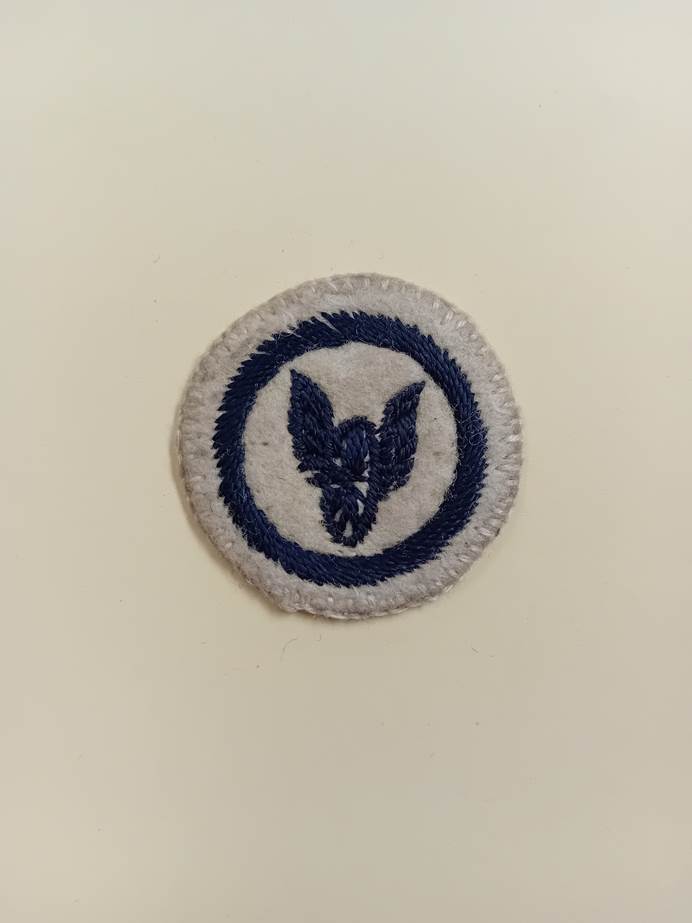 A white felt or flannel round badge with an embroidered wheel with wings on the front.