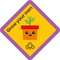 Brownies grow your own interest badge