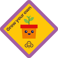 Brownies grow your own interest badge