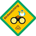 Brownies birdwatching interest badge
