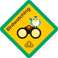 Brownies birdwatching interest badge