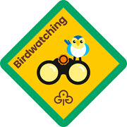 Birdwatching