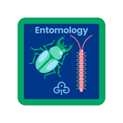 Entomology