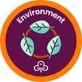 Rangers environment interest badge