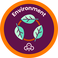 Rangers environment interest badge