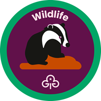 Rangers wildlife interest badge