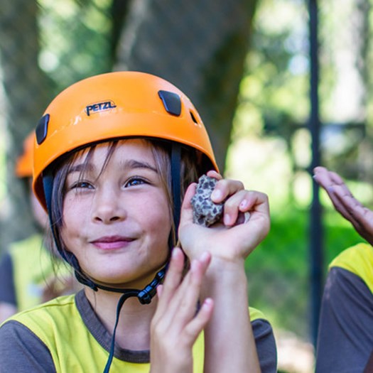 Accessing the learning platform - GIRLGUIDING GLOUCESTERSHIRE